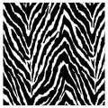 Charlo's Cloth Napkins Set of 4 Animal Print Zebra 16" by 16" - Black